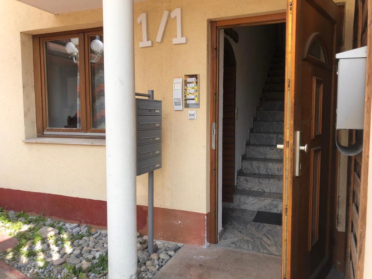 Ferienwohnung Sonne Schliengen Ngoại thất bức ảnh